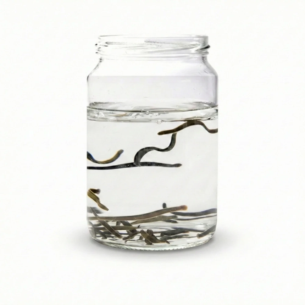 (0.4-0.6 gr) Doktor Boy Sülük