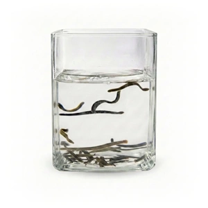 (0.4-0.6 gr) Doktor Boy Sülük