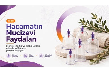 Hacamatın Mucizevi Faydaları: Bilimsel Kanıtlar ve Tıbb-ı Nebevi Işığında Sağlığınıza Yeniden Kavuşu