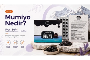 Mumiyo (Mumia – Shilajit) Nedir? Faydaları ve Kullanımı