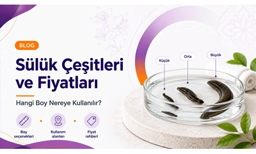 Sülük Çeşitleri ve Fiyatları: Hangi Boy Nereye Kullanılır? (2026 Rehberi)