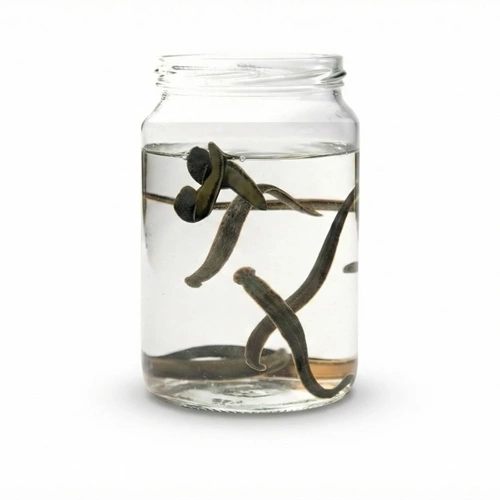 (0.6-0.8 gr) Orta Boy Sülük