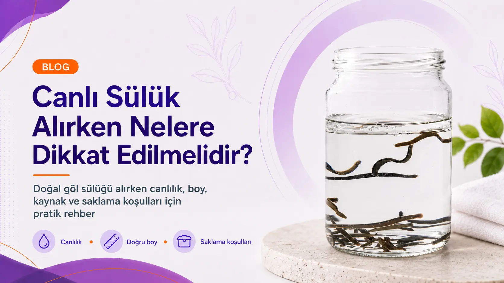 Canlı Sülük Alırken Nelere Dikkat Edilmelidir?