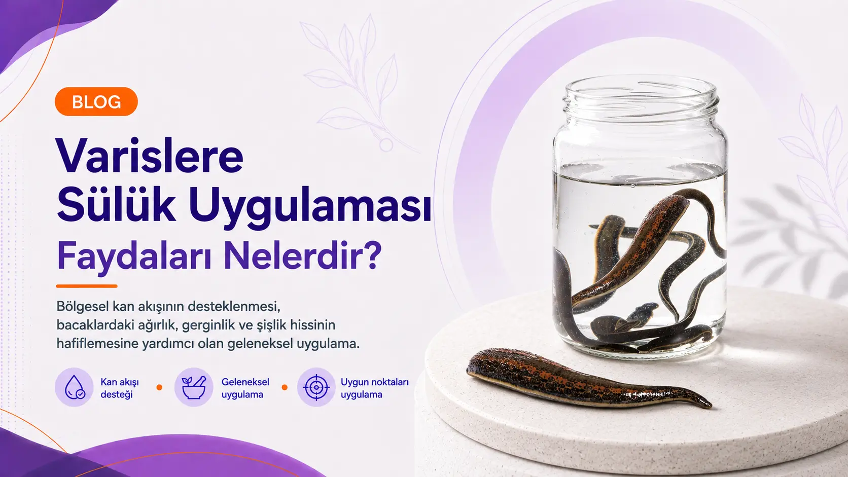 Varislere Sülük Uygulaması: Faydaları Nelerdir?